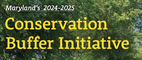 Conservation Buffer